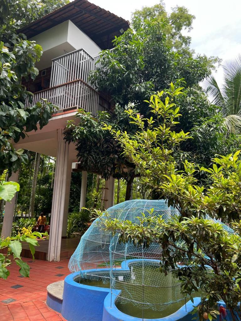 Serenity Villa And Treehouse Palakkad Exterior photo